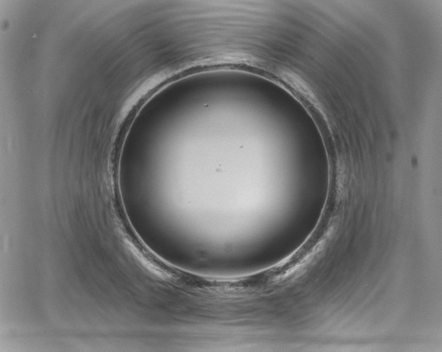 X0000068270789200604211109