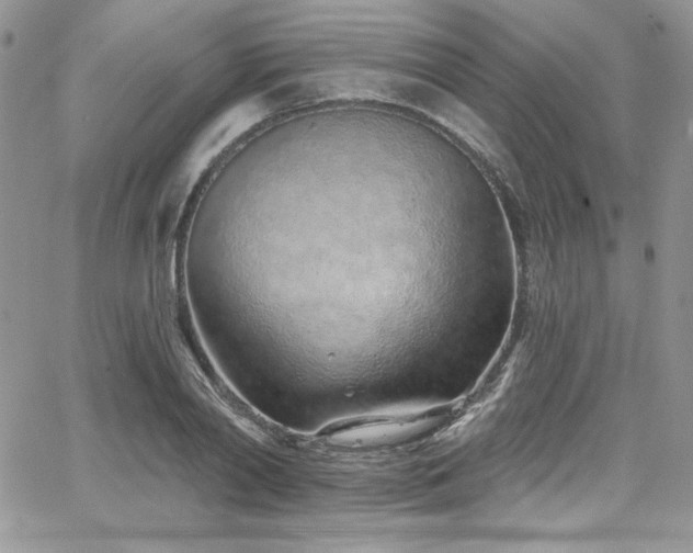 X0000068270790200604211109