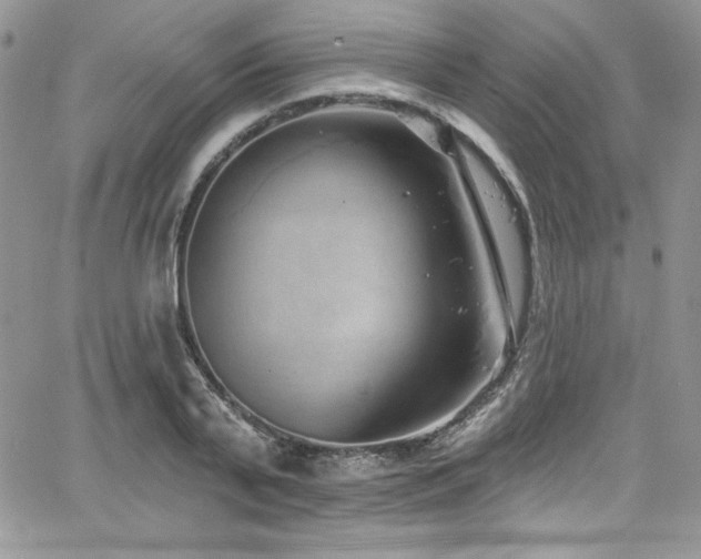 X0000068270791200604211109