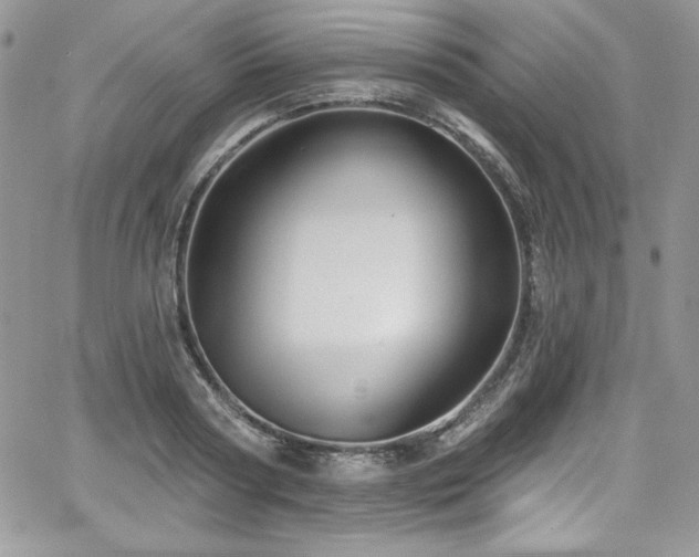 X0000068270794200604211109