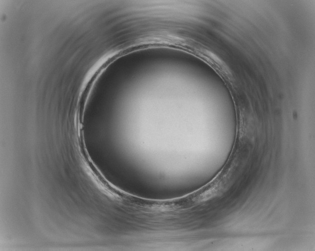 X0000068270796200604211109