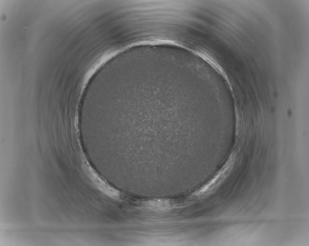 X0000068270797200604211109