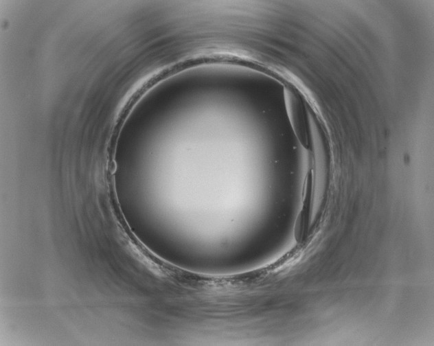 X0000068270799200604211109