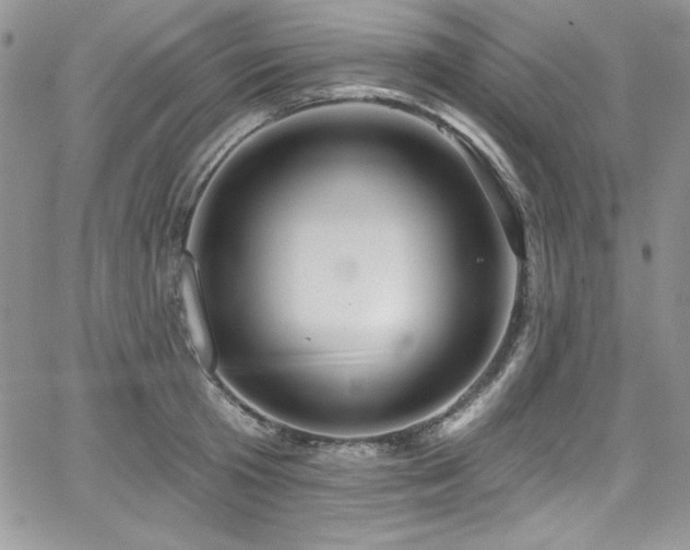 X0000068270801200604211109