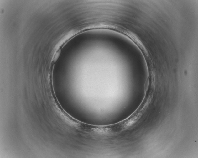 X0000068270805200604211109