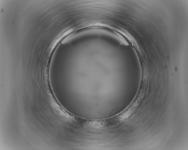 X0000068270806200604211109