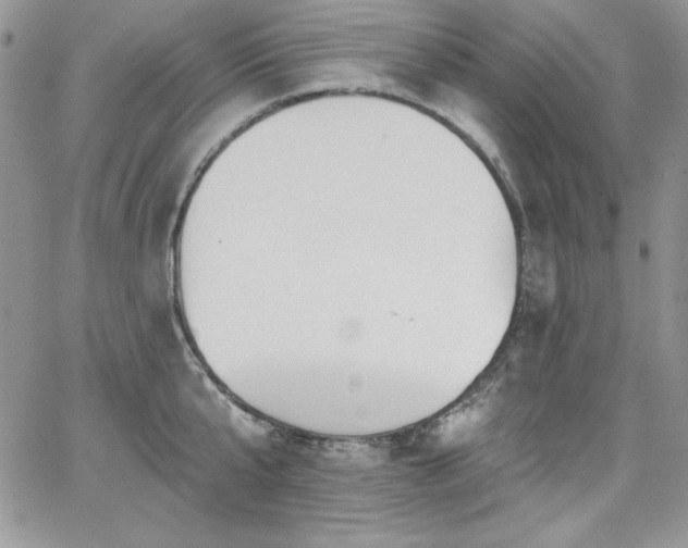 X0000068270807200604211109