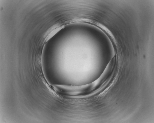 X0000068270809200604211109