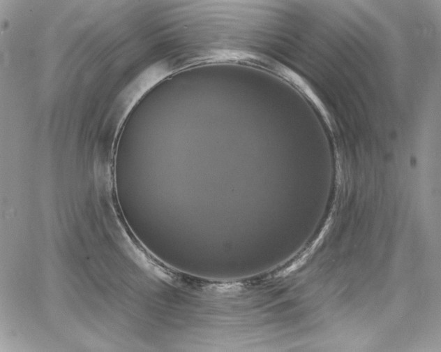 X0000068270810200604211108