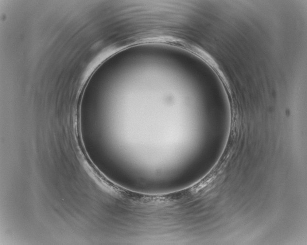 X0000068270811200604211108