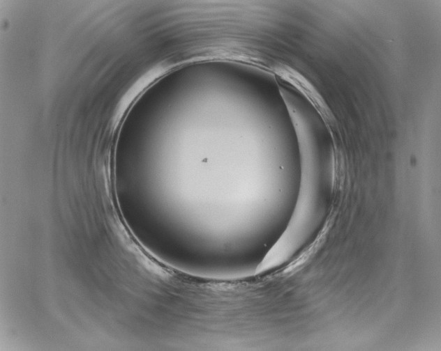 X0000068270812200604211108