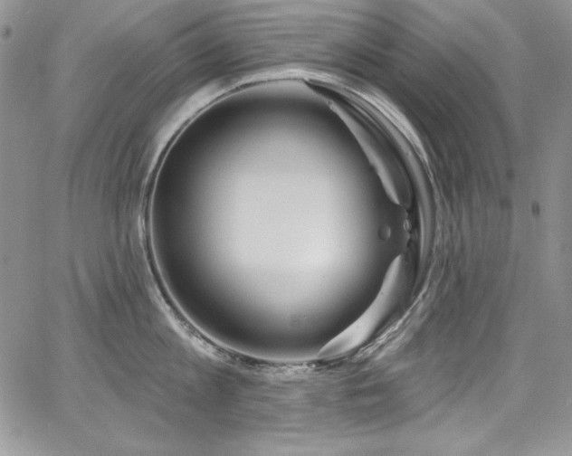 X0000068270813200604211108