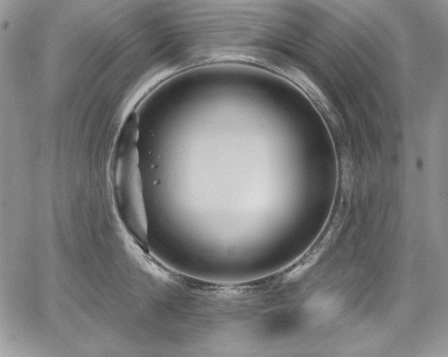 X0000068270814200604211108