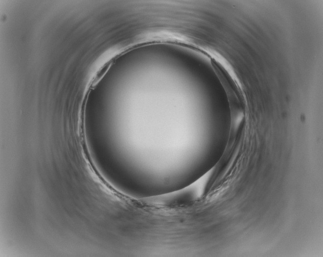 X0000068270815200604211108