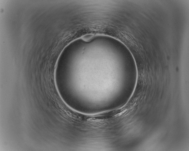 X0000068270817200604211108