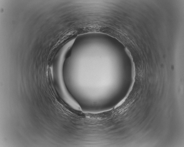 X0000068270818200604211108