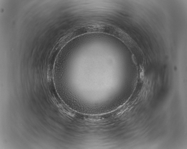 X0000068270819200604211108