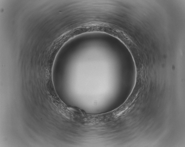 X0000068270821200604211108