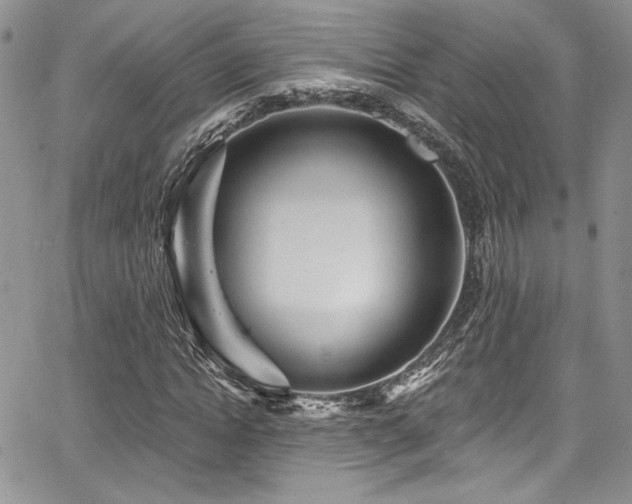 X0000068270822200604211108