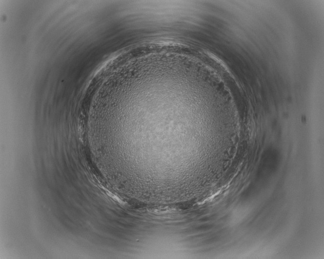 X0000068270823200604211108