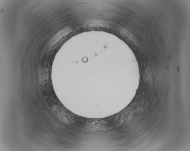 X0000068270824200604211108