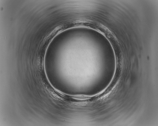 X0000068270825200604211108