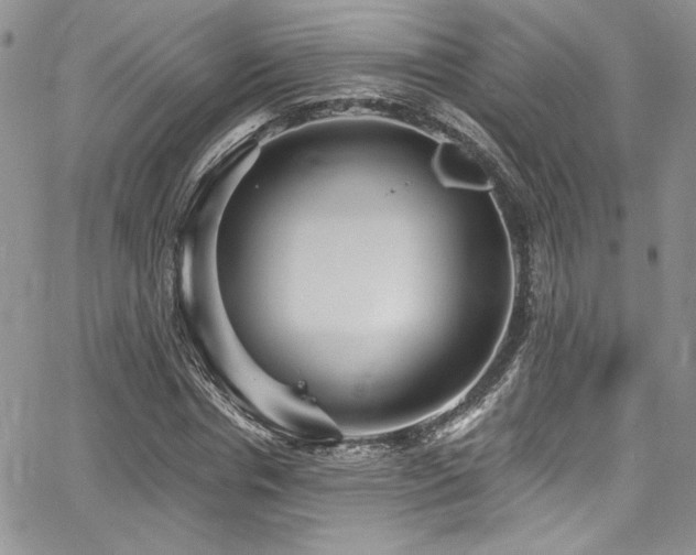 X0000068270826200604211108