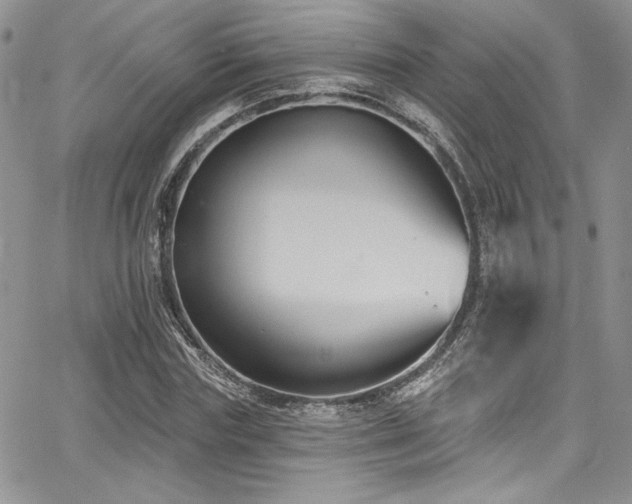 X0000068270827200604211108