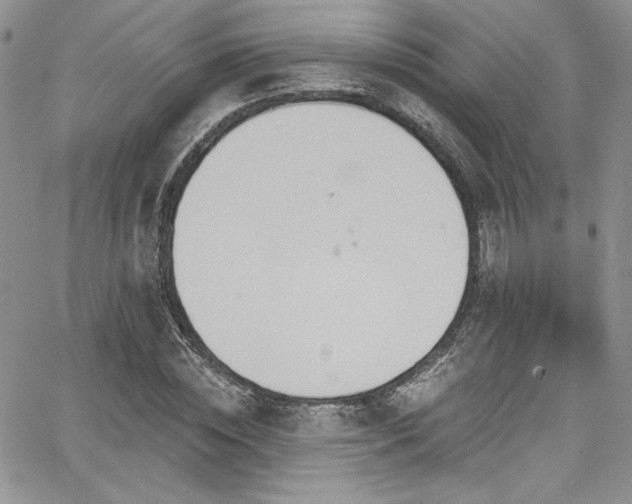 X0000068270828200604211108