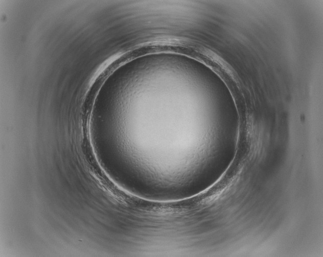 X0000068270829200604211108