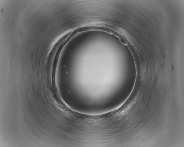 X0000068270830200604211108