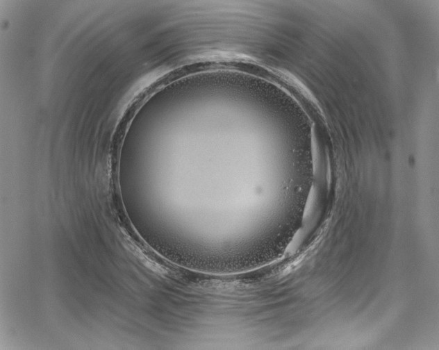 X0000068270831200604211108