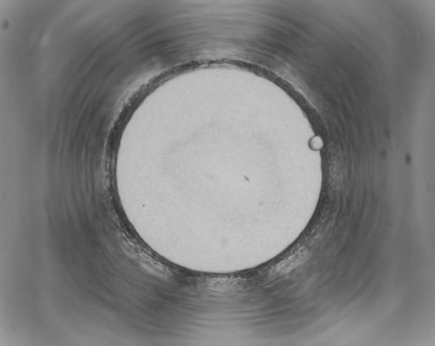 X0000068270832200604211108