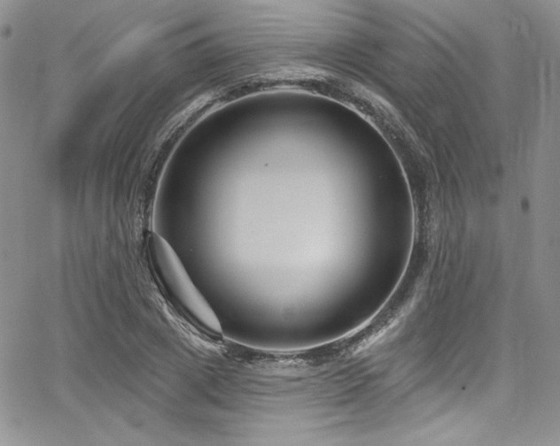 X0000068270833200604211108