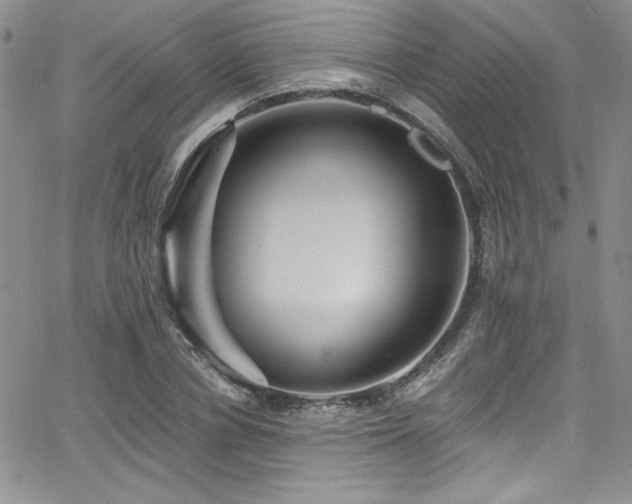 X0000068270834200604211108