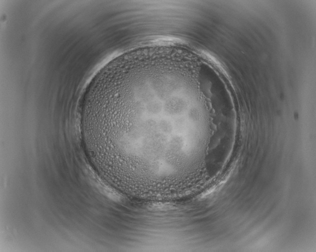 X0000068270835200604211108