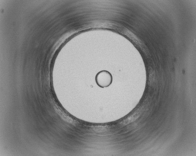 X0000068270836200604211108