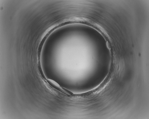 X0000068270837200604211108