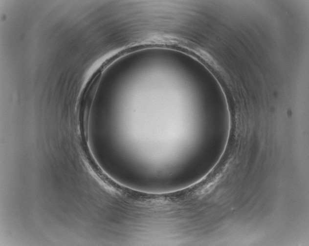 X0000068270838200604211108