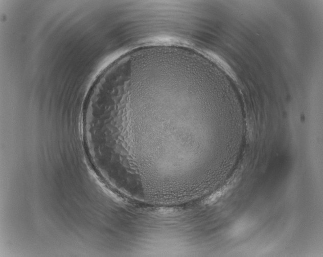 X0000068270839200604211108