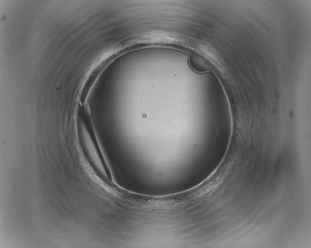 X0000068270840200604211108