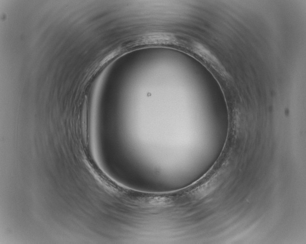 X0000068270841200604211108