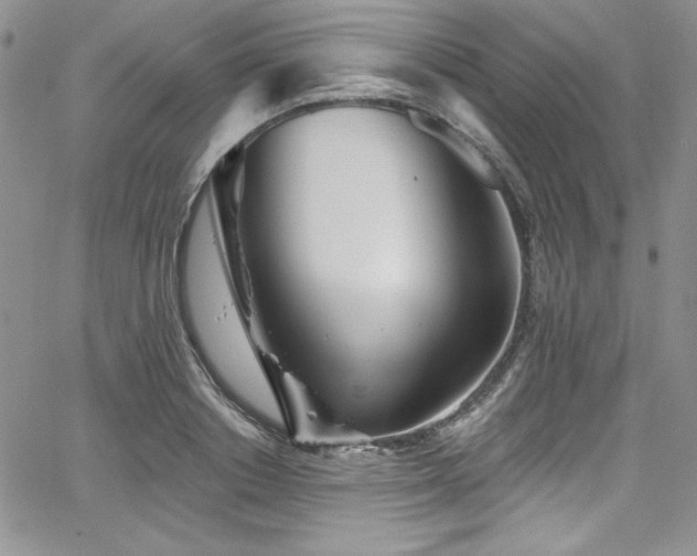 X0000068270842200604211108