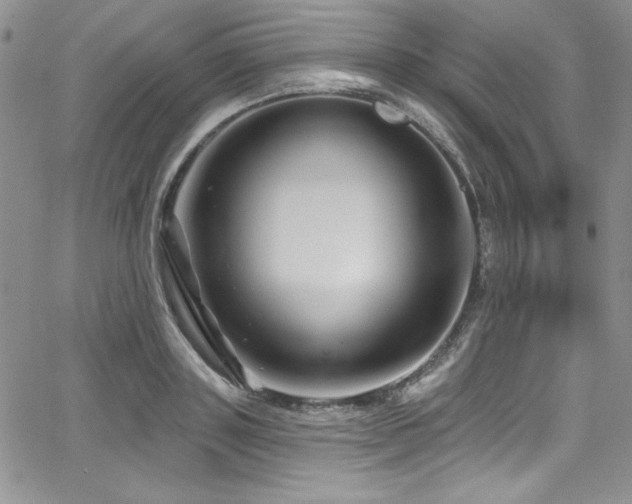 X0000068270843200604211108