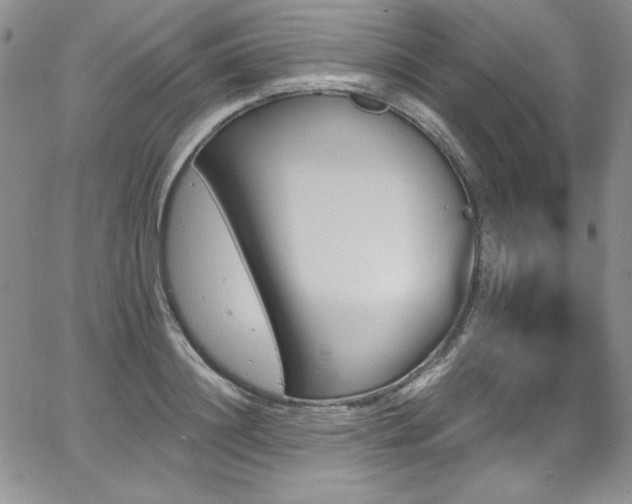 X0000068270844200604211108