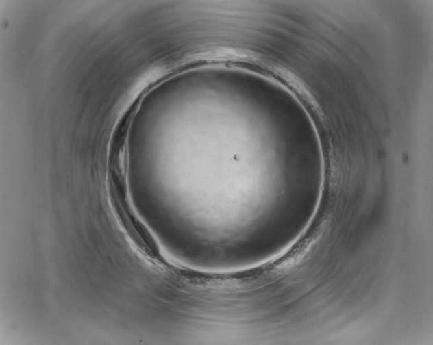 X0000068270845200604211108