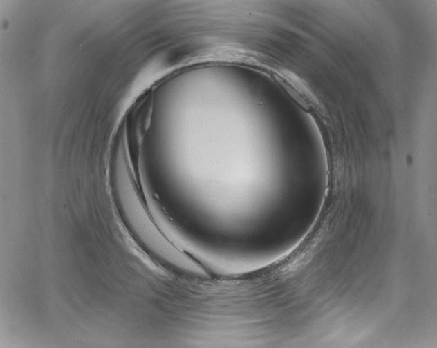 X0000068270846200604211108