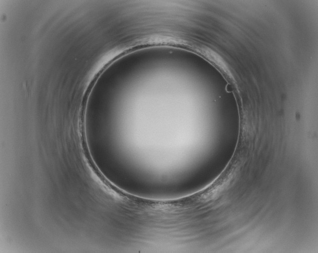 X0000068270847200604211108