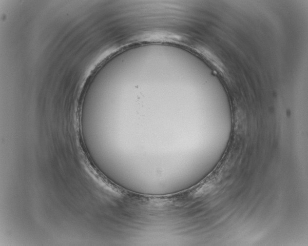 X0000068270848200604211108