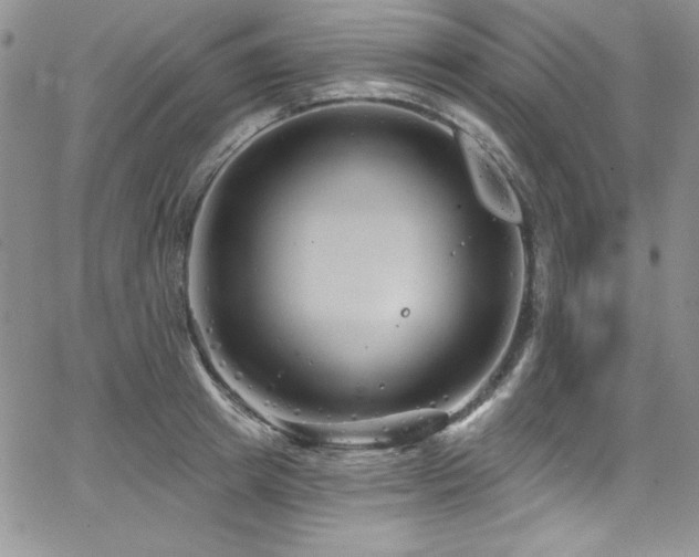 X0000068270849200604211108